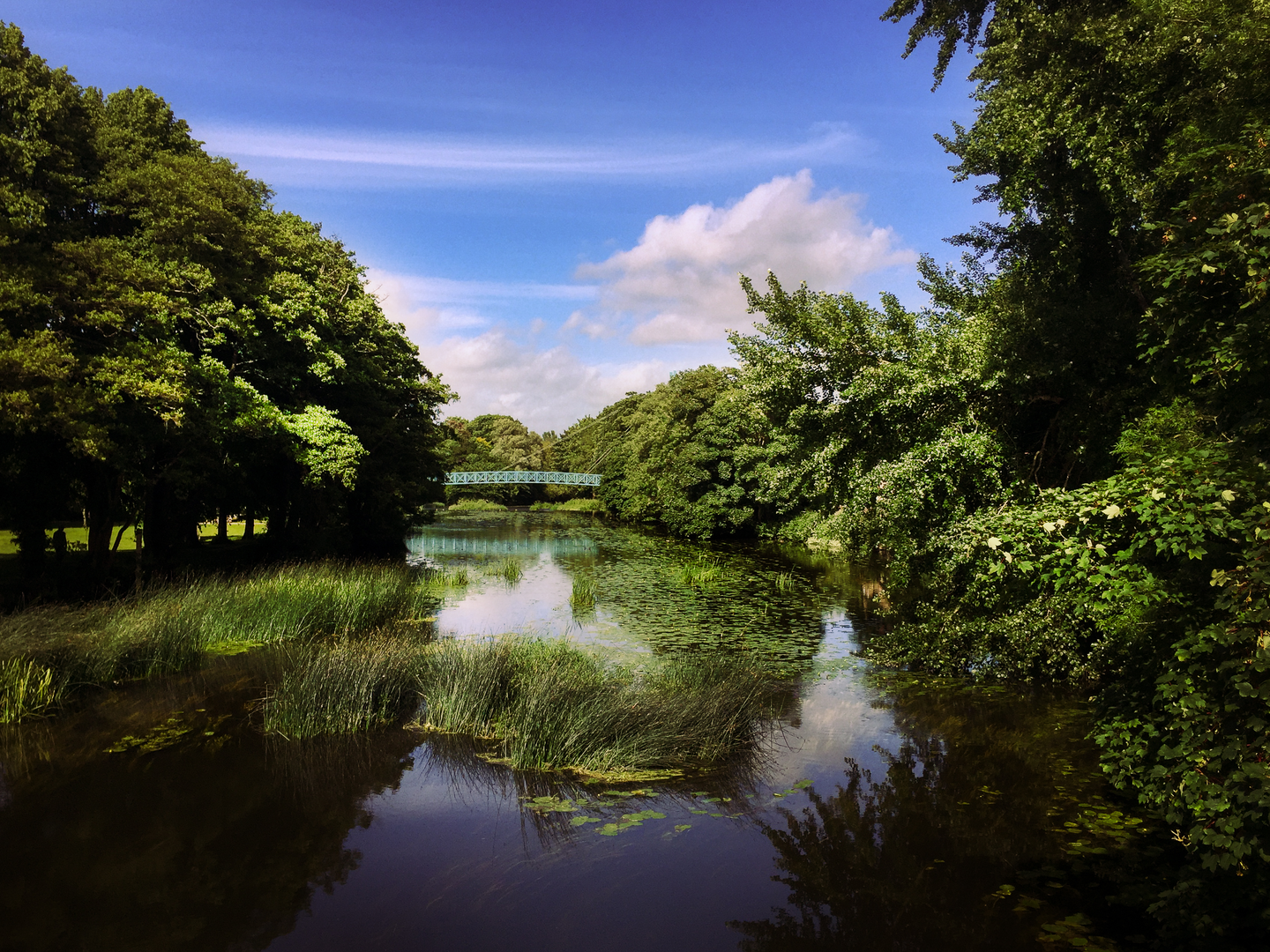 An image depicting the trail Blackmore Vale Path and its surrounding area.