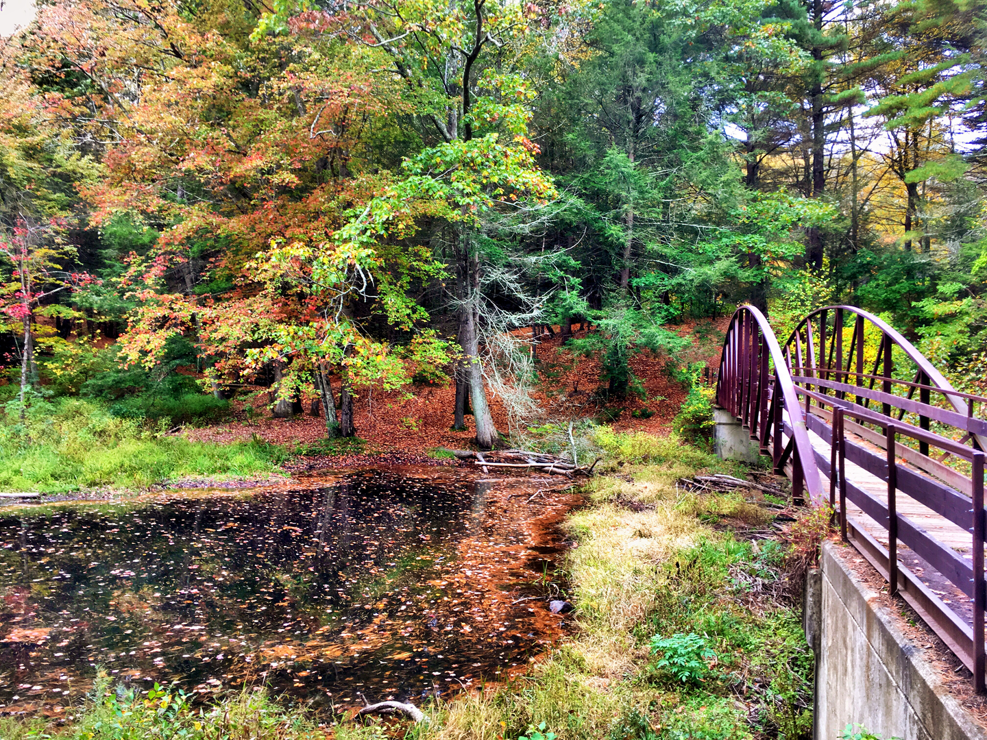 An image depicting the trail Mattatuck Trail - South and its surrounding area.