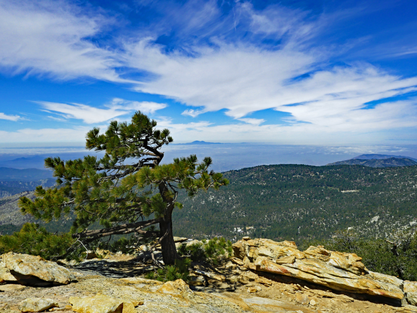 An image depicting the trail South Ridge via Tahquitz Peak Trail and its surrounding area.