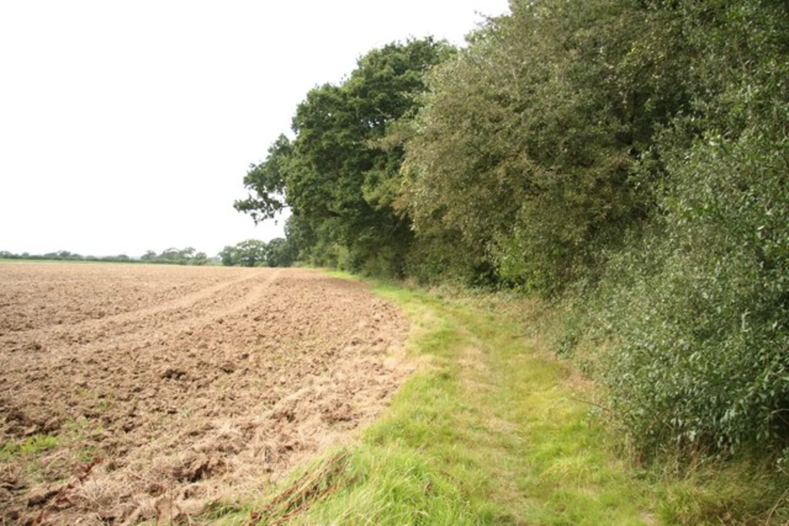An image depicting the trail Doddington Loop and its surrounding area.