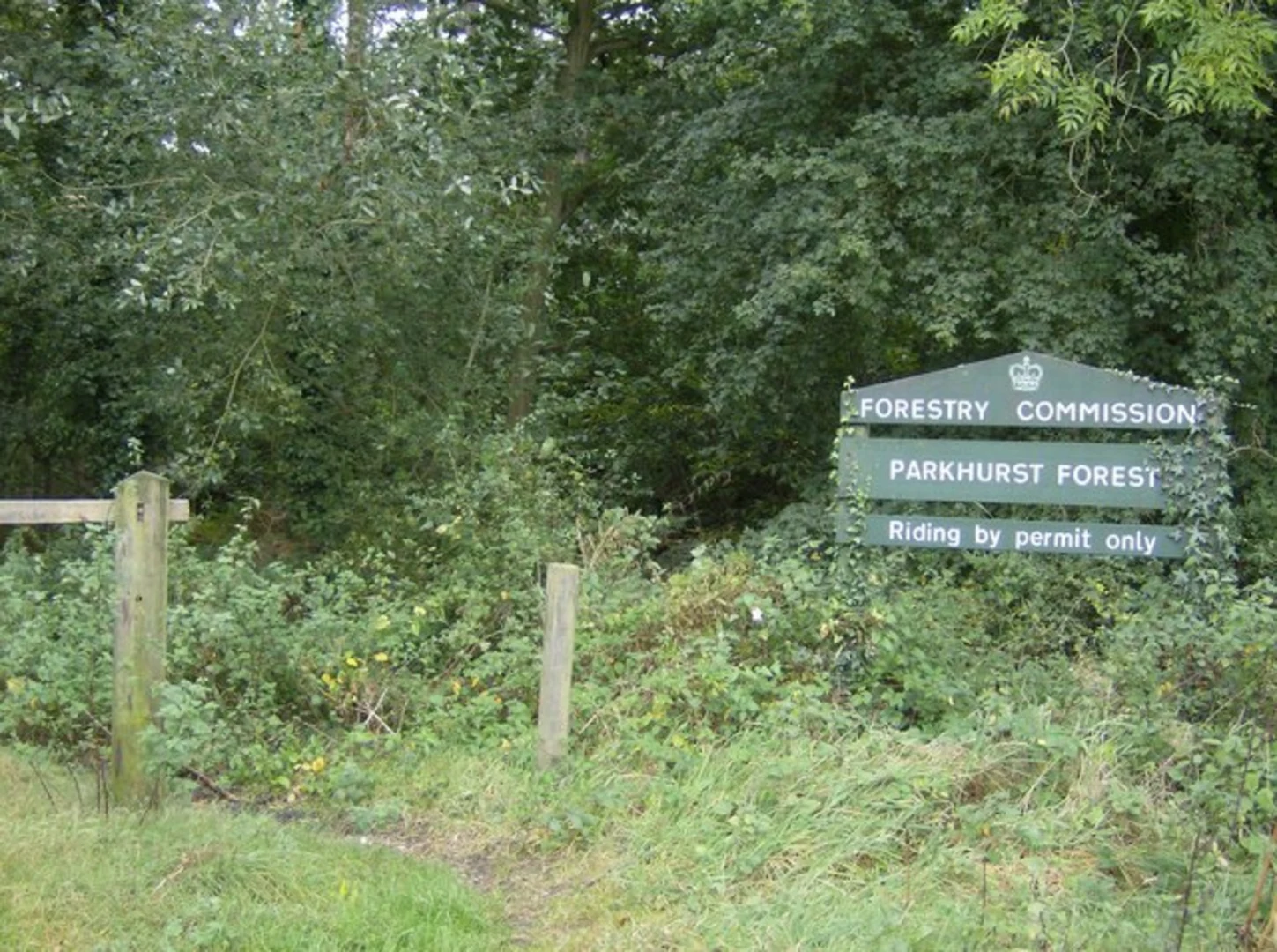 An image depicting the trail Parkhurst Forest Loop and its surrounding area.
