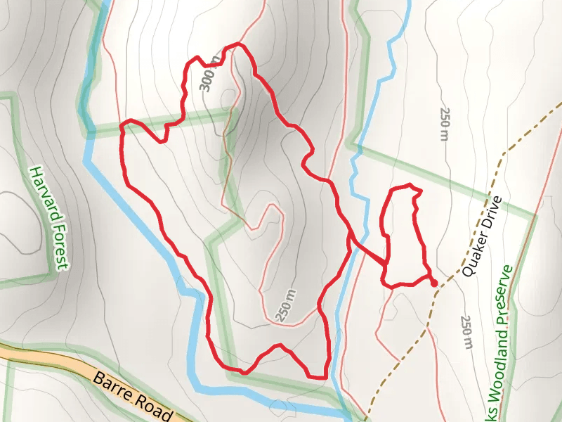 East Branch Swift River and Moccasin Brook LoopLoop