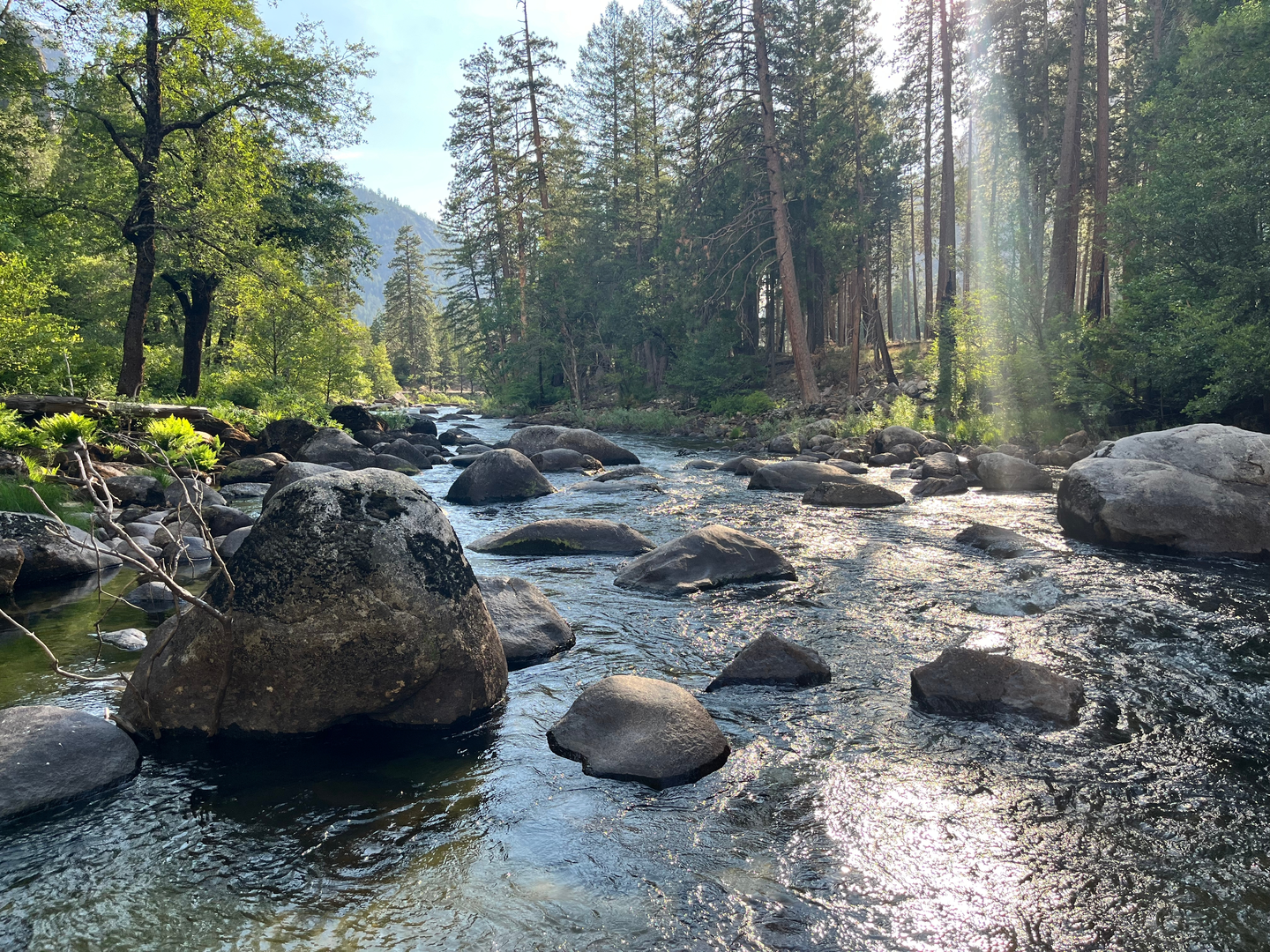 An image depicting the trail Yosemite Creek Walkalong and its surrounding area.
