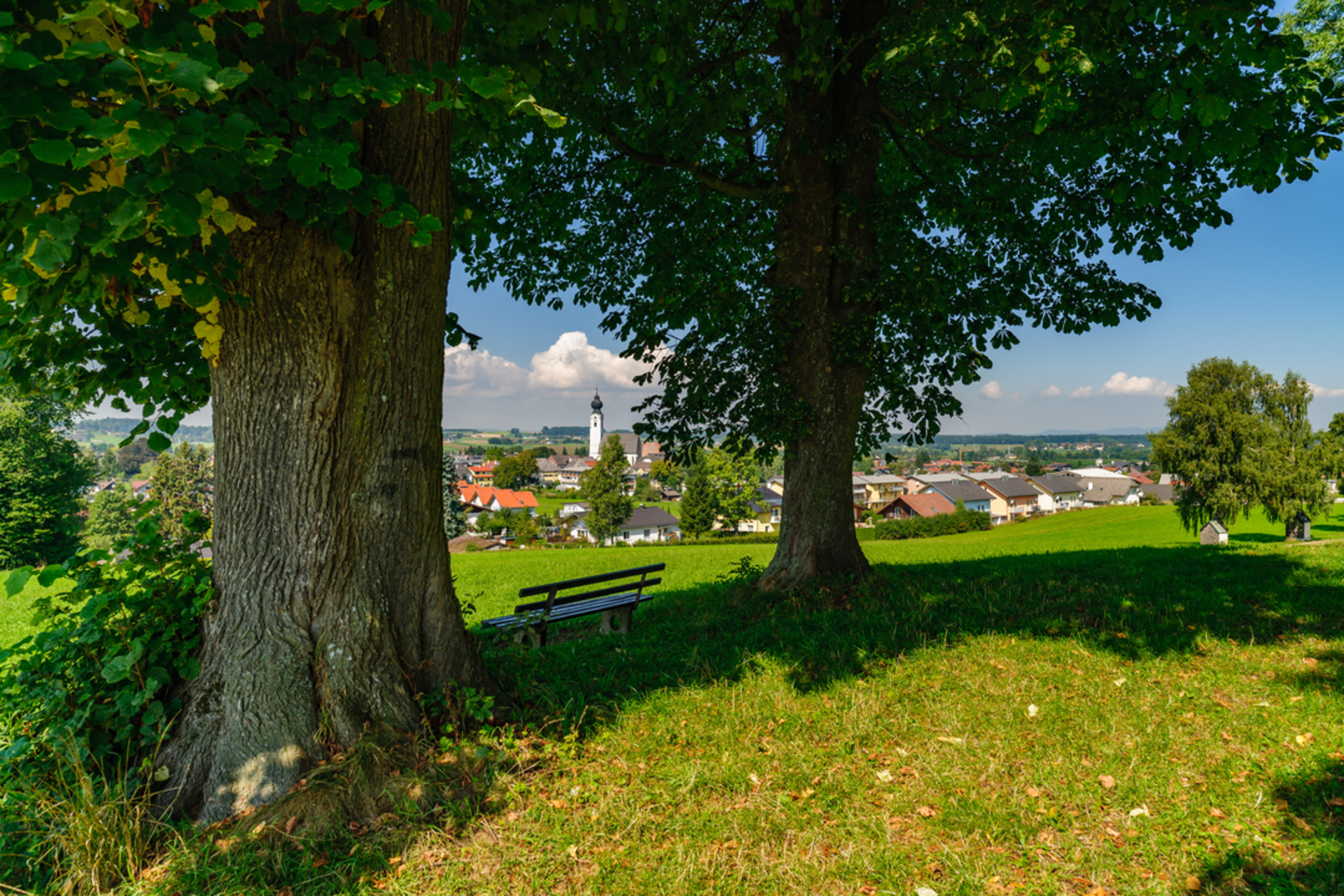 An image depicting the trail Vogl Anna Platzl Way and its surrounding area.