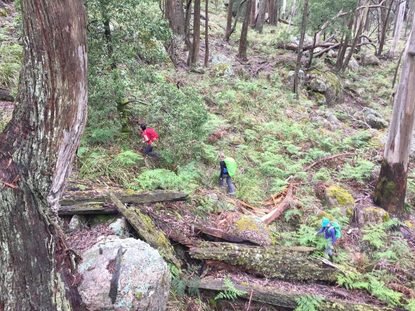An image depicting the trail Mount Gorrin Trail and its surrounding area.
