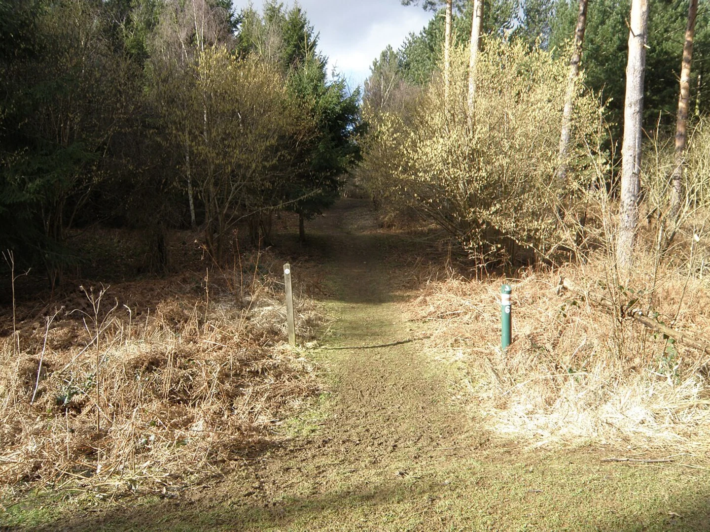 An image depicting the trail Wakerley Great Wood Loop and its surrounding area.