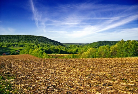 Schuylkill Mountain Ridge Trail