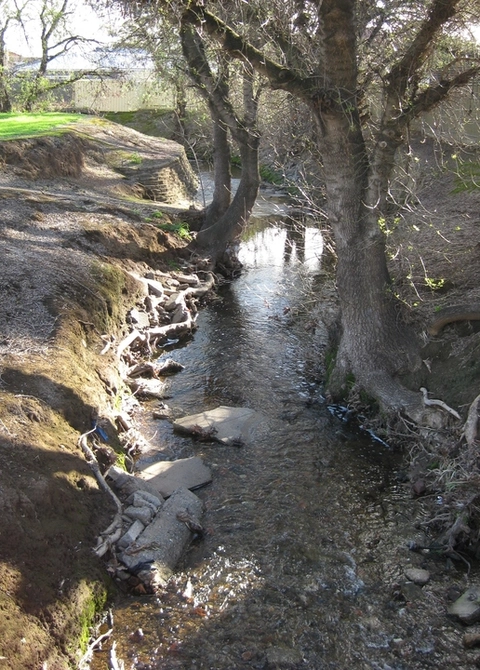 Wirraparinga Loop Walk