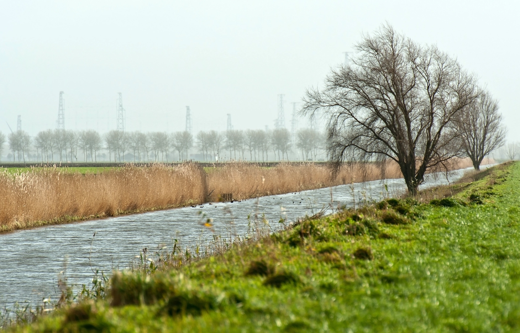 An image depicting the trail De Witte Duinen, Bankven, Uitzichttoren and Rovertsche Heide Loop and its surrounding area.