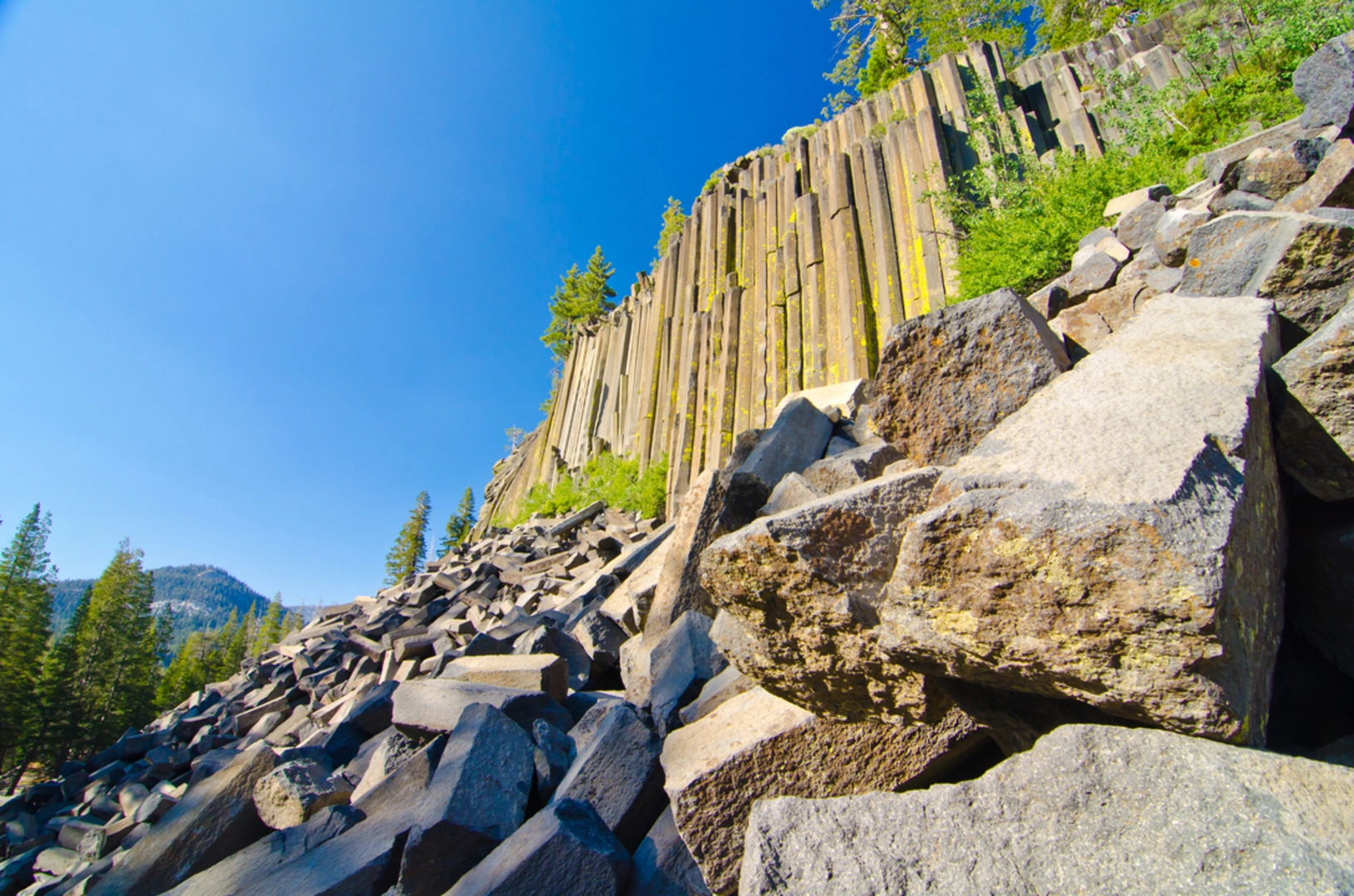 An image depicting the trail Olive Lake and Peter Pande Lake via John Muir Trail and its surrounding area.