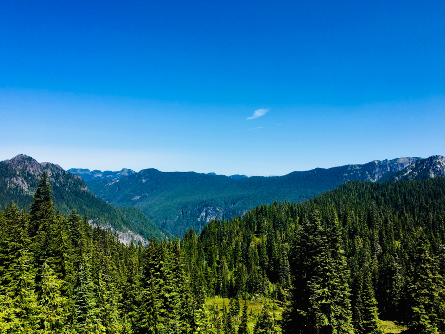 An image depicting the trail Old Mine Trail and its surrounding area.