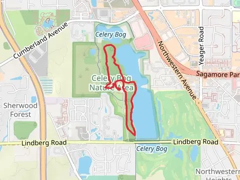 Celery Bog via Cattail Trail