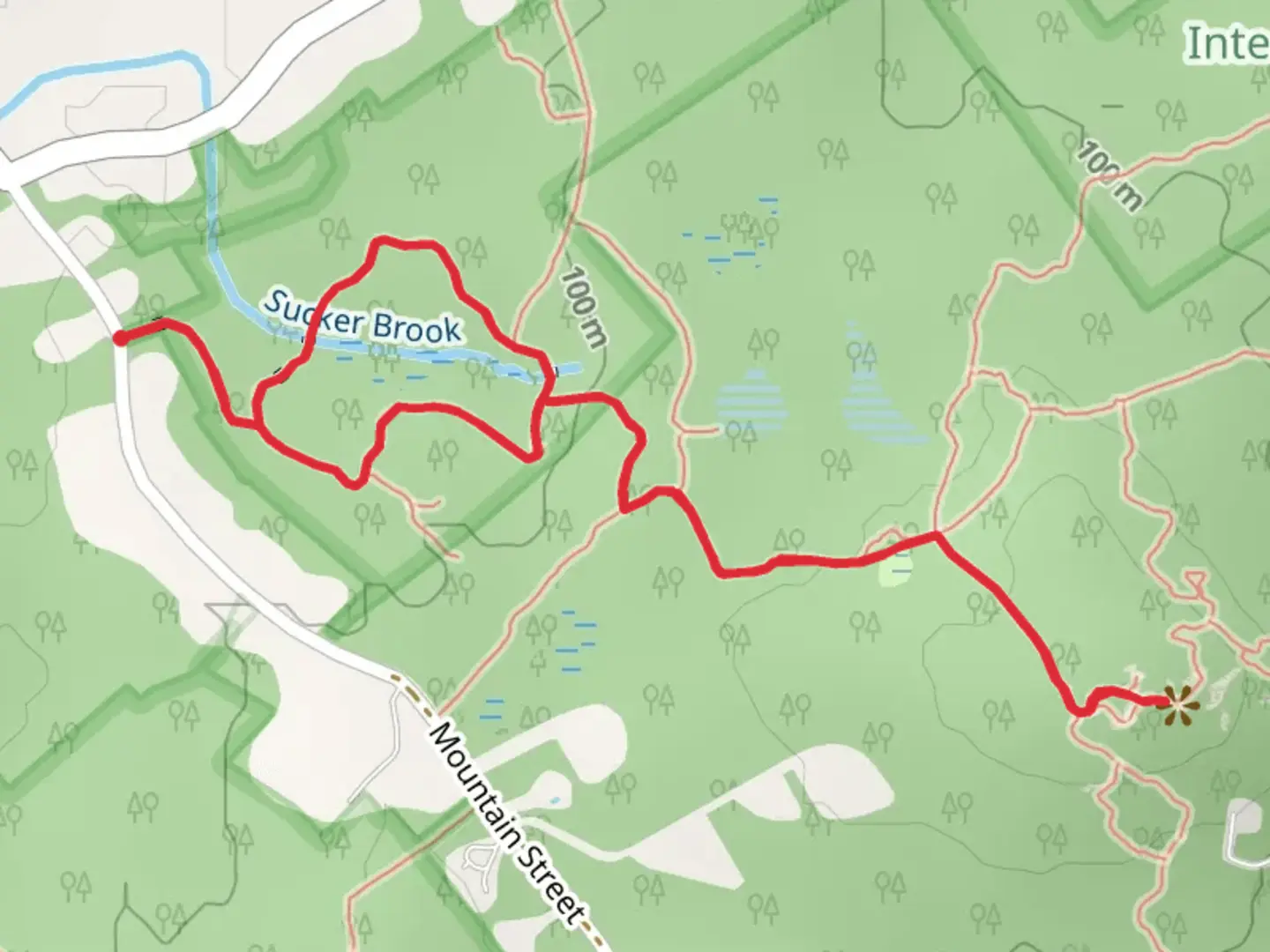 An image depicting the trail Rattlesnake Hill via Sucker Brook Trail and its surrounding area.