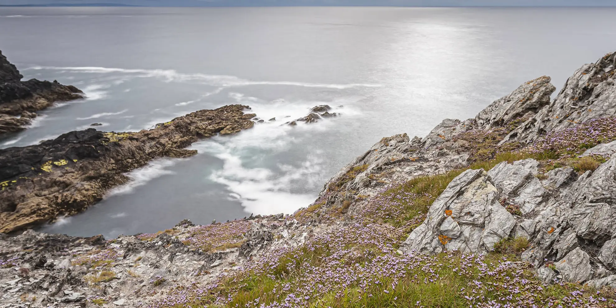 An image depicting the trail Holywell and Kelsey Head Walk and its surrounding area.