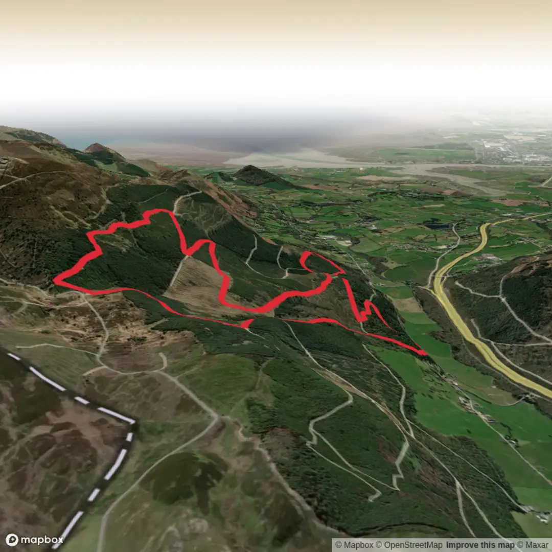 An image depicting the trail Ring of Guillion - Scouts and its surrounding area.