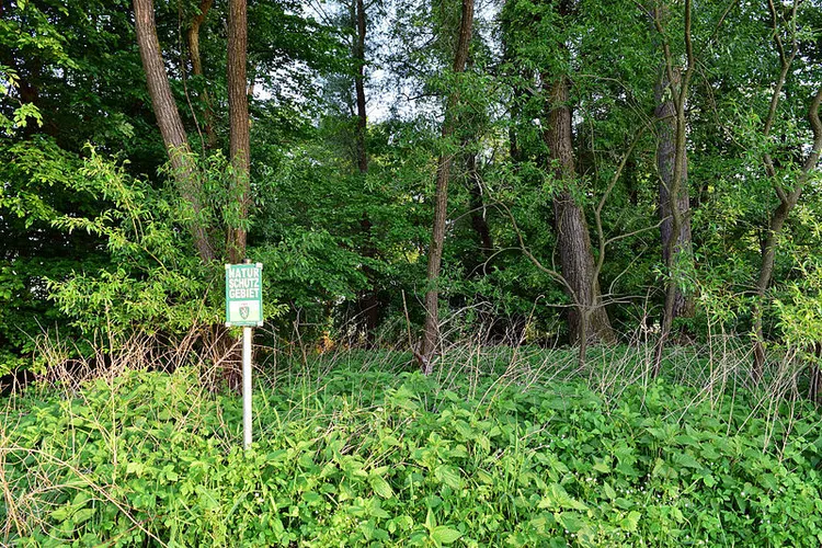 Feldbach - Raabau - Beerenweg