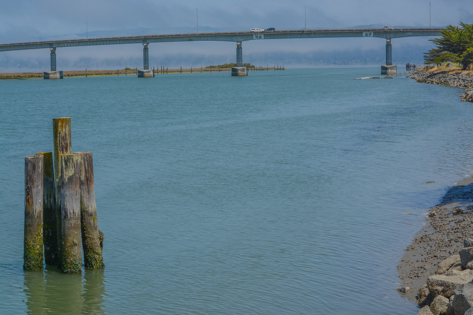 An image depicting the trail Halvorsen Park - Waterfront Loop Trail and its surrounding area.