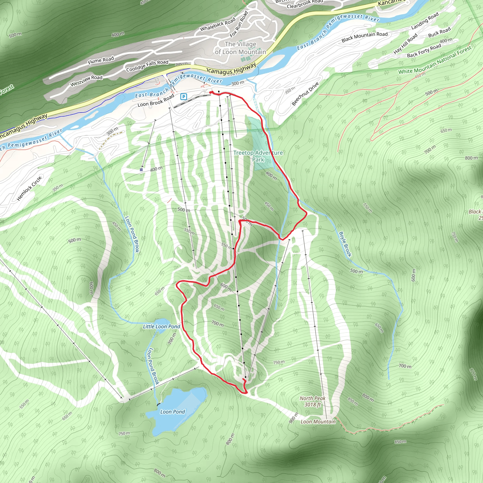 Upper Bear Claw via Brook Way mobile static map