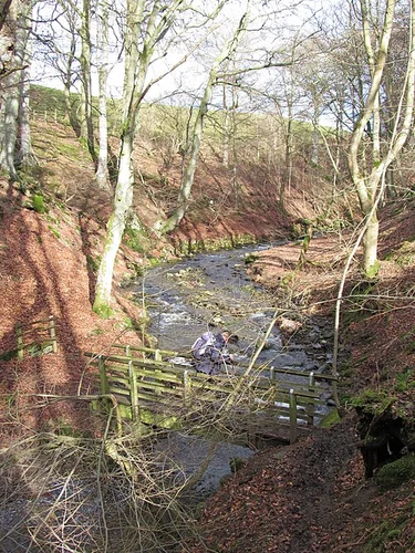 Stanhope Burn Geo Trail