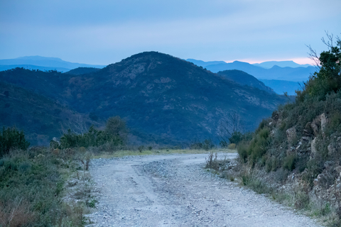 Sentier de la Crête - Ridge Trail