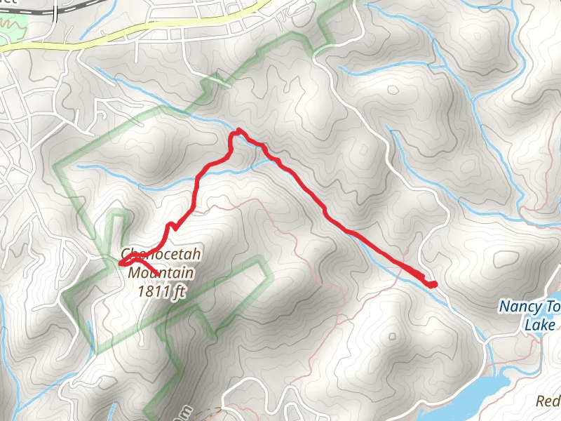 Chenocetah Mountain via Rhododendron Trail