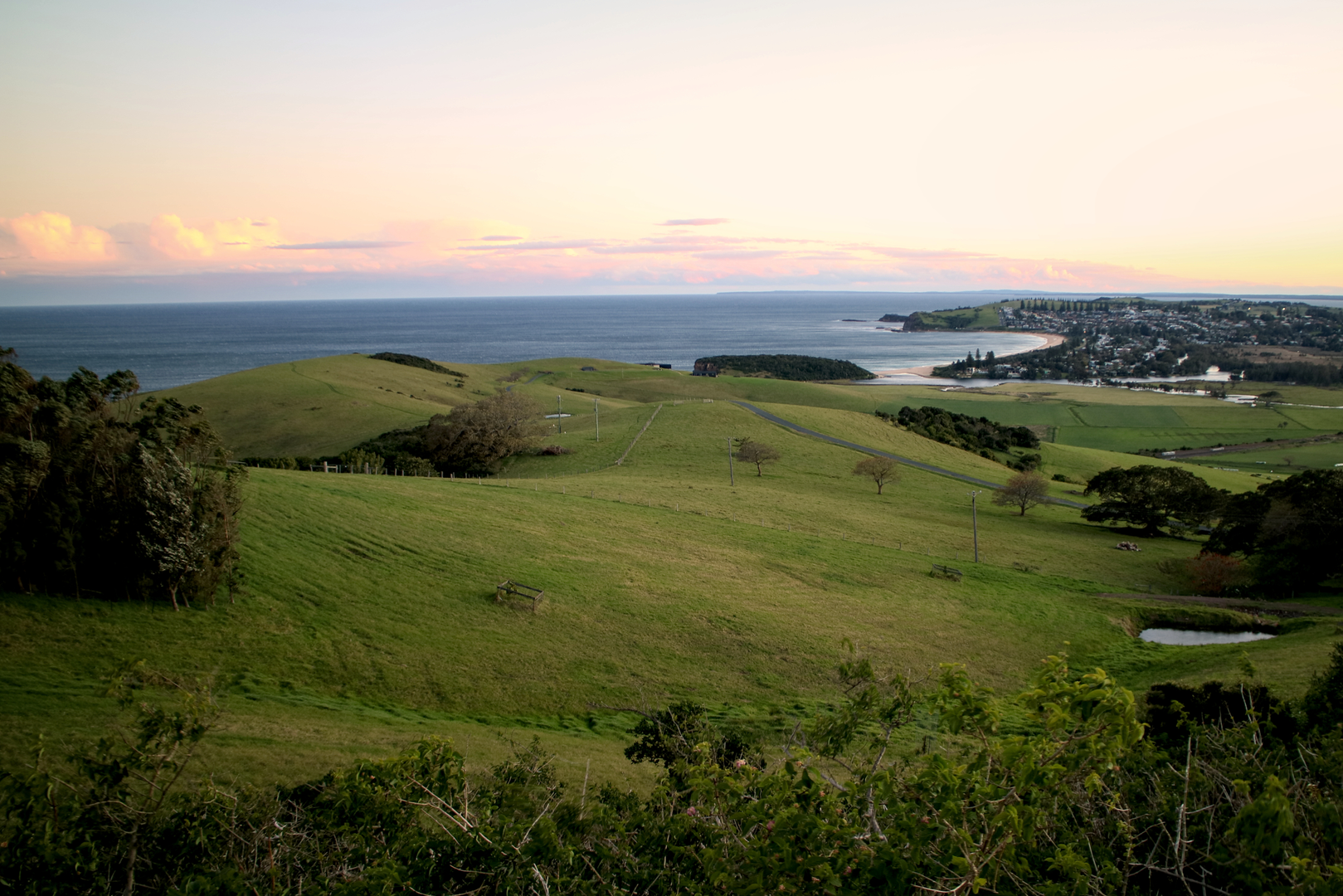 An image depicting the trail Mount Pleasant Summit Trail and its surrounding area.
