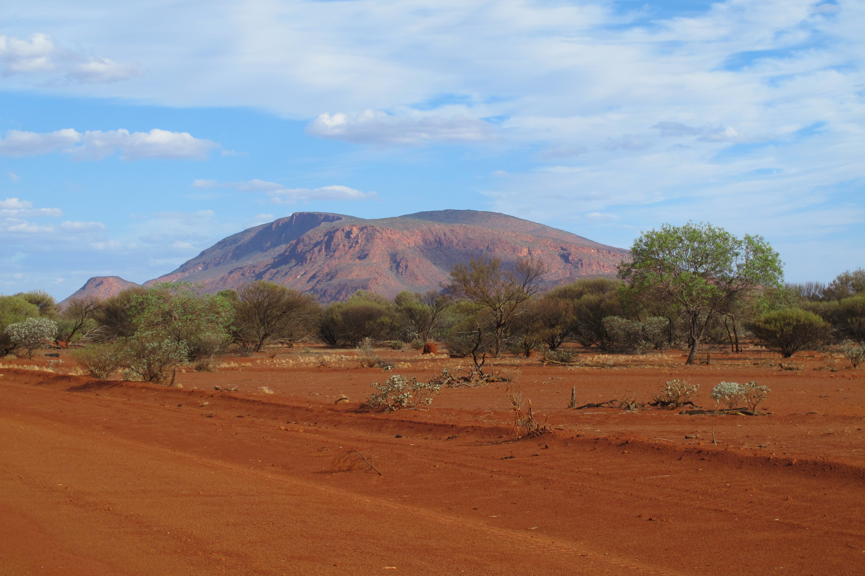 An image depicting the trail Mount Augustus National Park and its surrounding area.