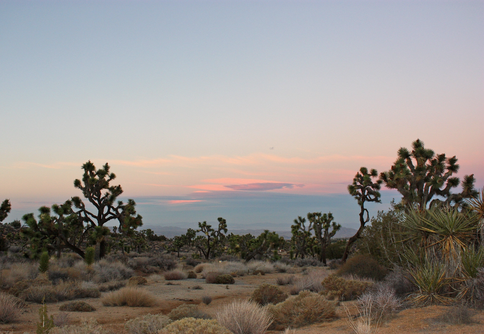 An image depicting the trail California Hiking Trail and its surrounding area.