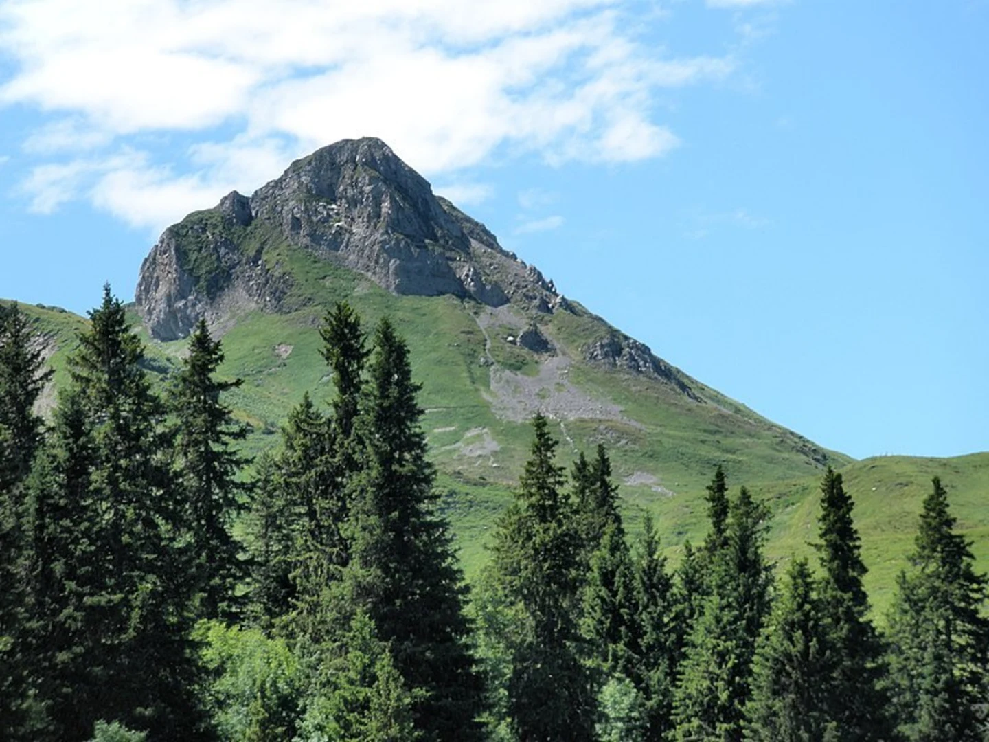 An image depicting the trail Adelboden Flower Trail and its surrounding area.