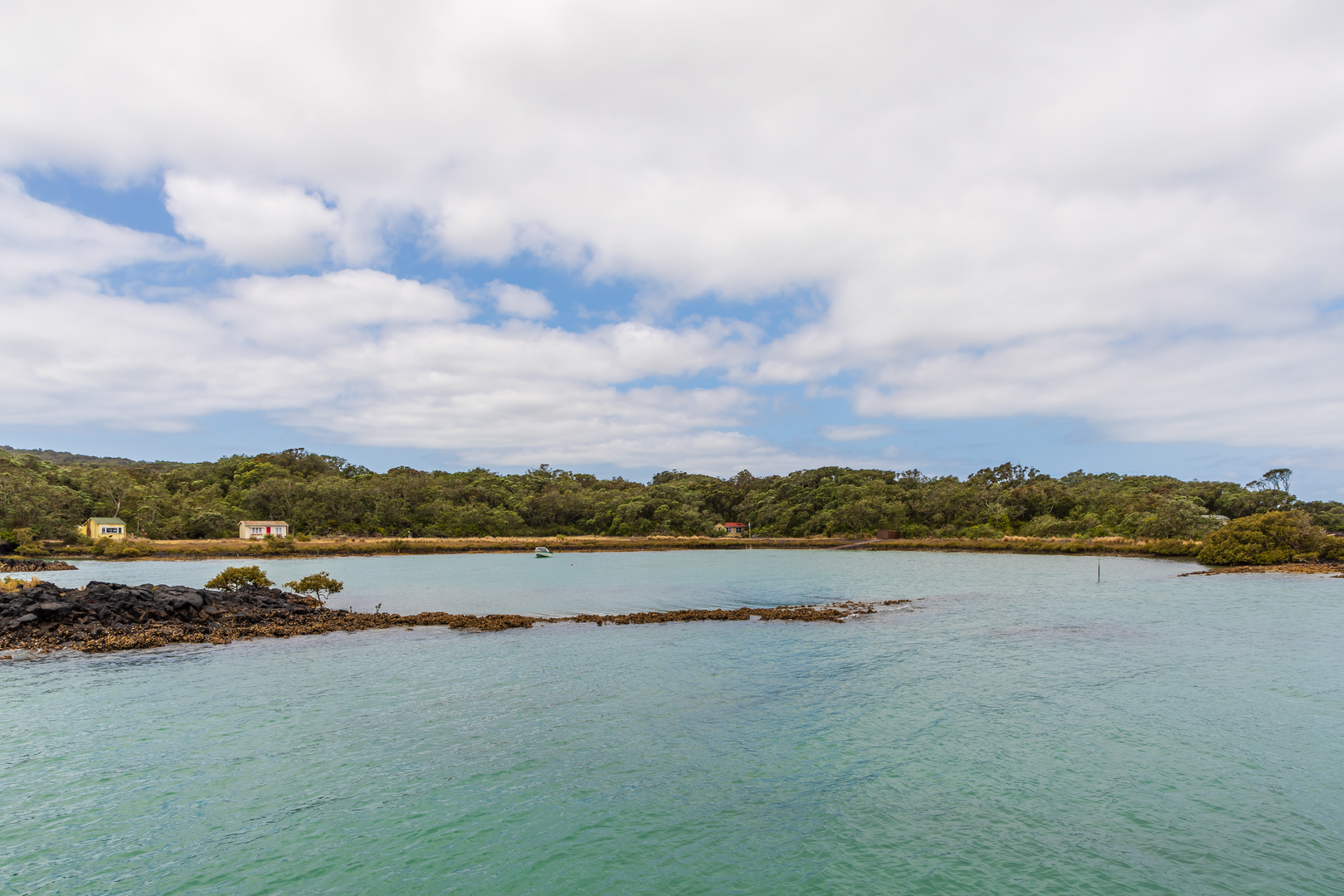An image depicting the trail Rangitoto Island Longer Walks - Coastal Track from Rangitoto Wharf to Islington Bay Wharf and its surrounding area.