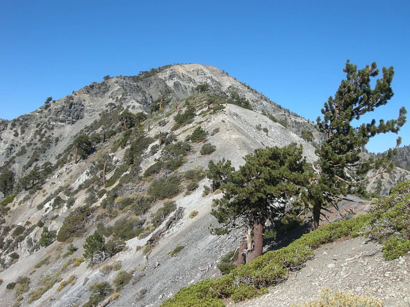 An image depicting the trail Mount Harwood and Mount San Antonio Walk and its surrounding area.