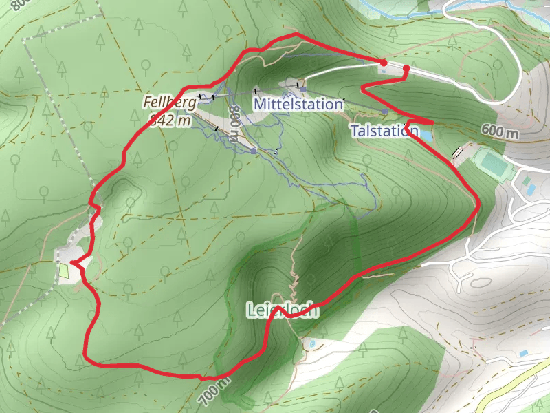 Fellberg Loop