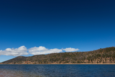Campground Cove and Glendale Lake via Pt Trail and Campsite Trail