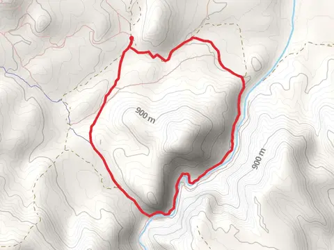 Loop beside Reynolds Creek from Pigeon Road