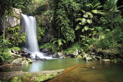 Curtis Falls Walk