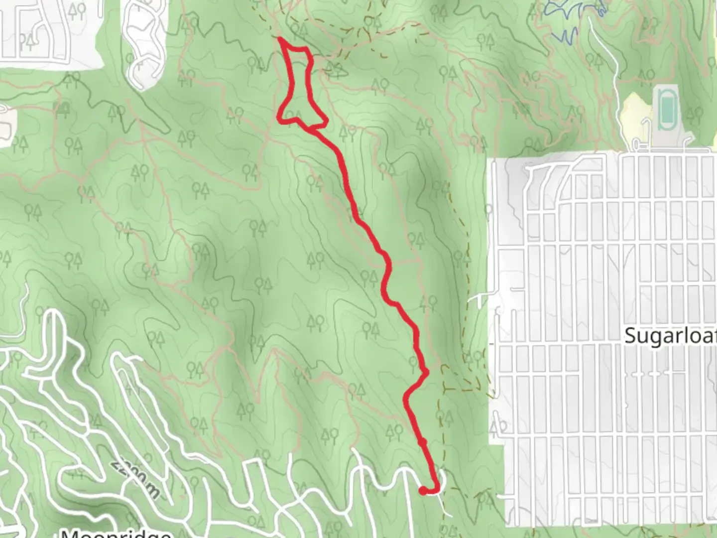 An image depicting the trail Nathan's and Saw Mill Drive and its surrounding area.