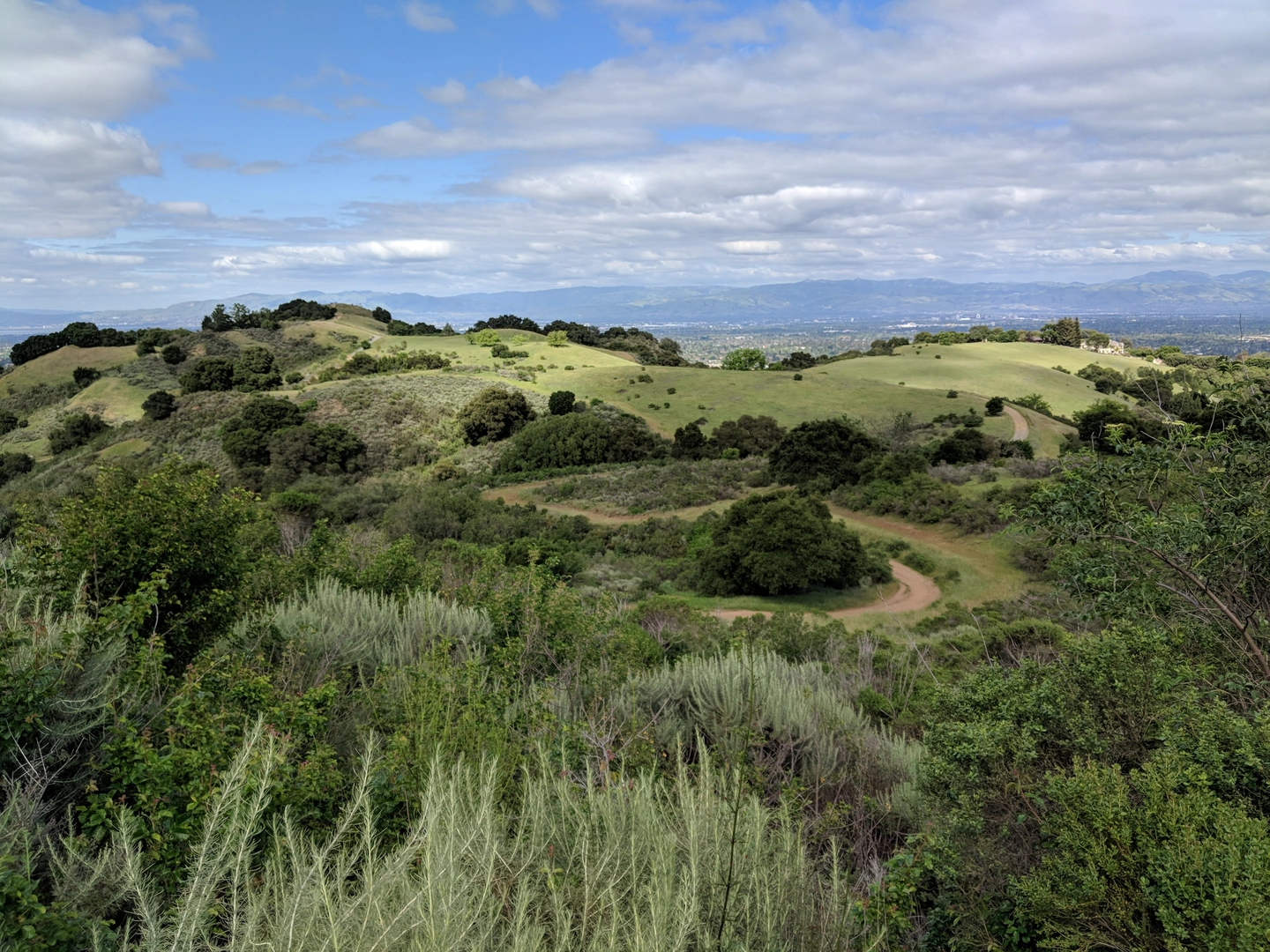 An image depicting the trail Hunters Point Creekside Trail and Cora Older Trail and its surrounding area.