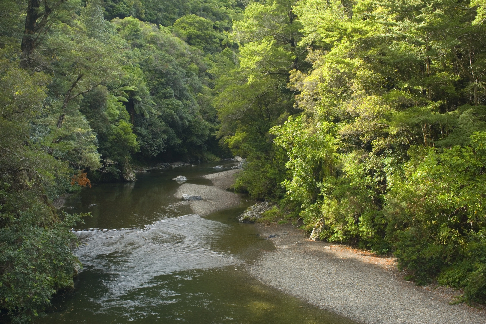 An image depicting the trail Pakuratahi River Walk and Swingbridge Loop and its surrounding area.