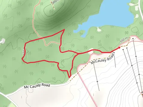McCauley Road Loop
