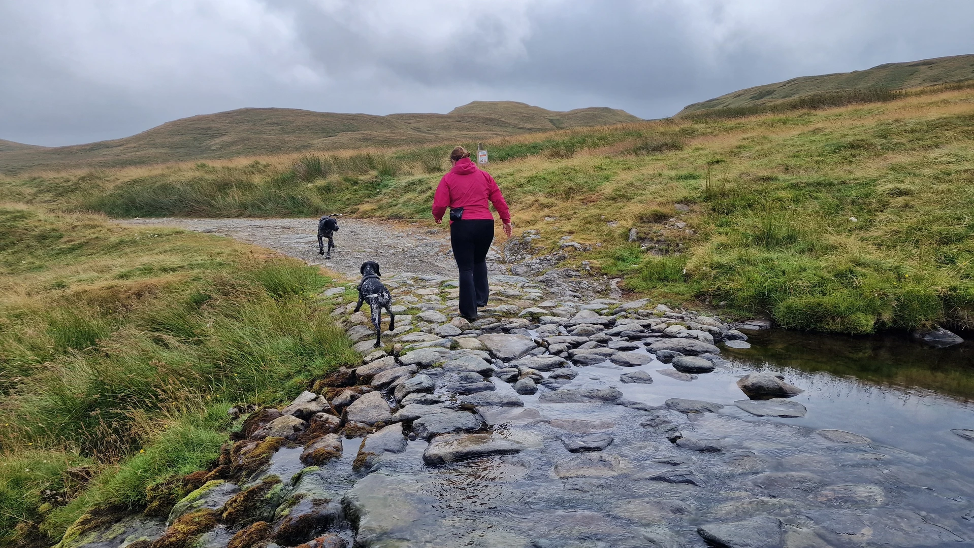 An image depicting the trail CAMC Troutbeck Head Circular Hike and its surrounding area.