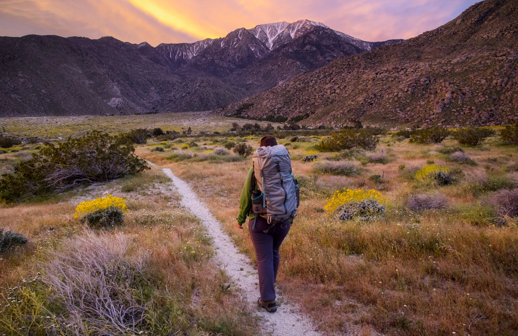 An image depicting the trail Pacific Crest Trail - Northern California and its surrounding area.