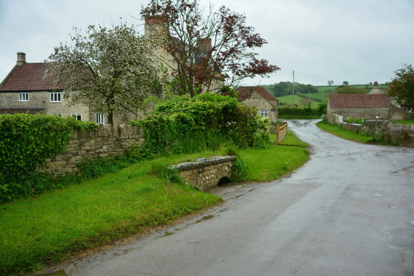 An image depicting the trail Stanton Prior Loop and its surrounding area.