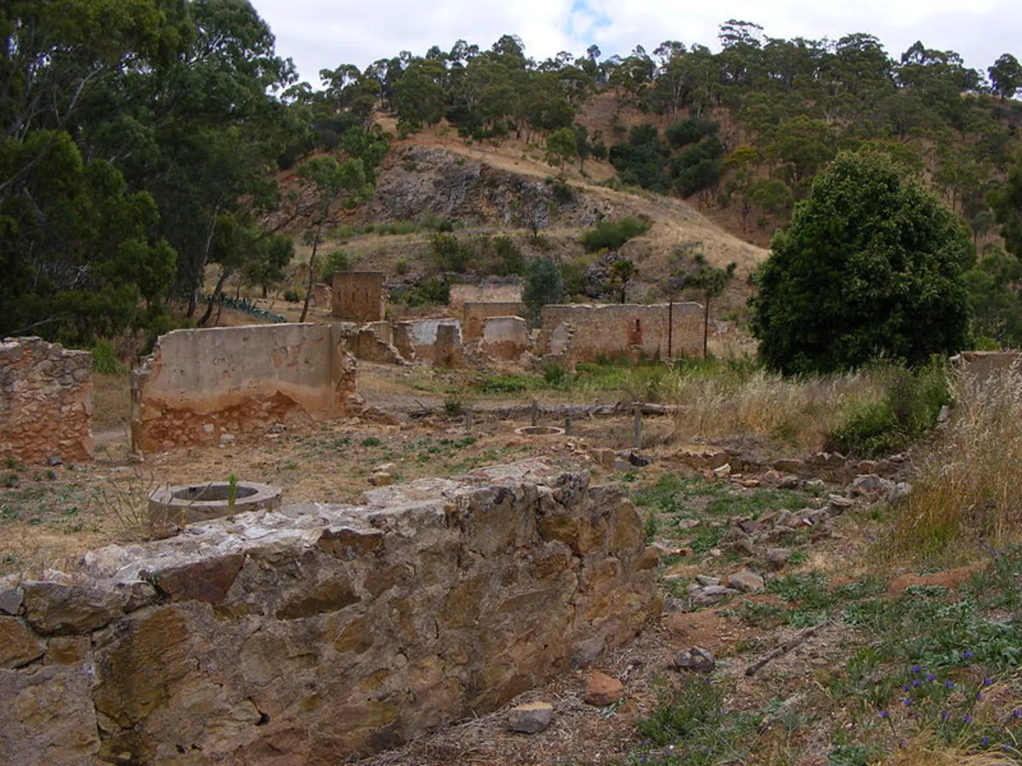 An image depicting the trail Newman’s Nursery Ruins Walk and its surrounding area.