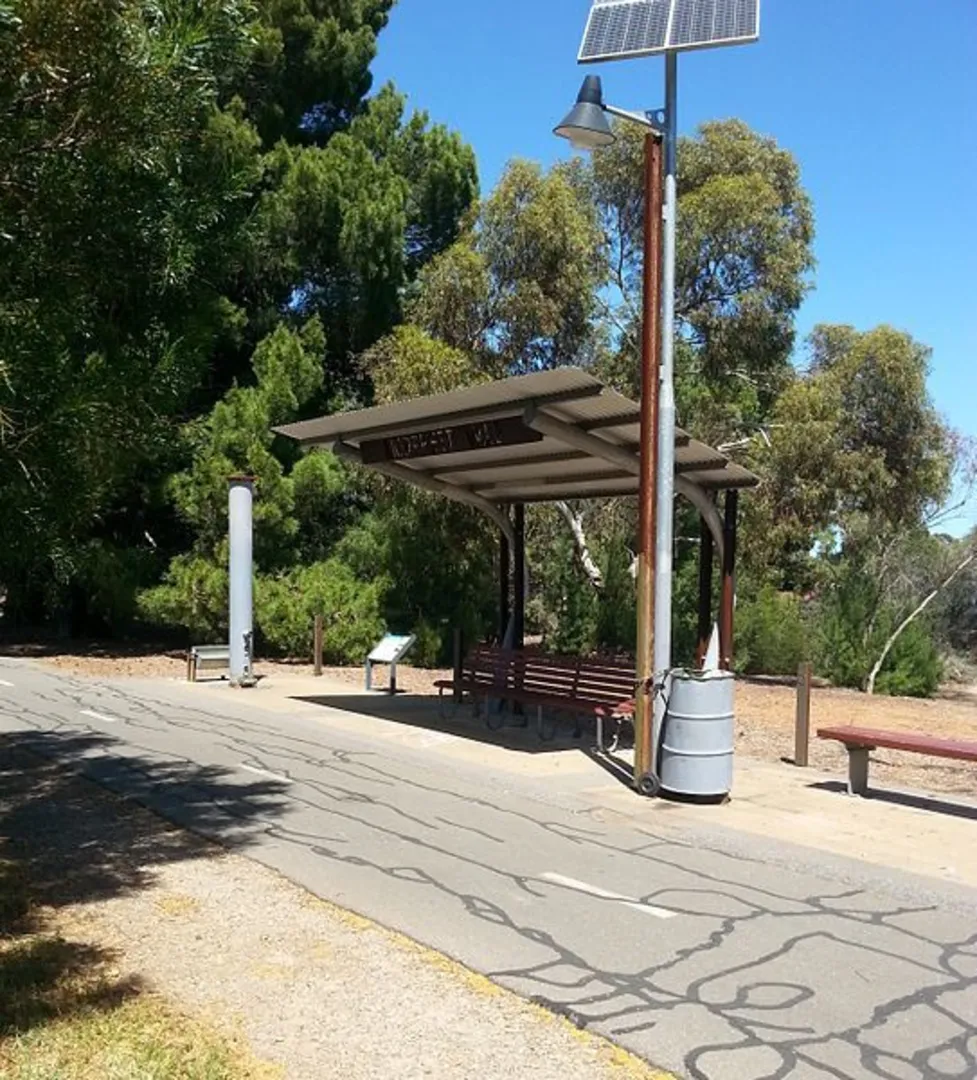 An image depicting the trail Morphett Vale on the Christie Creek Loop Track and its surrounding area.