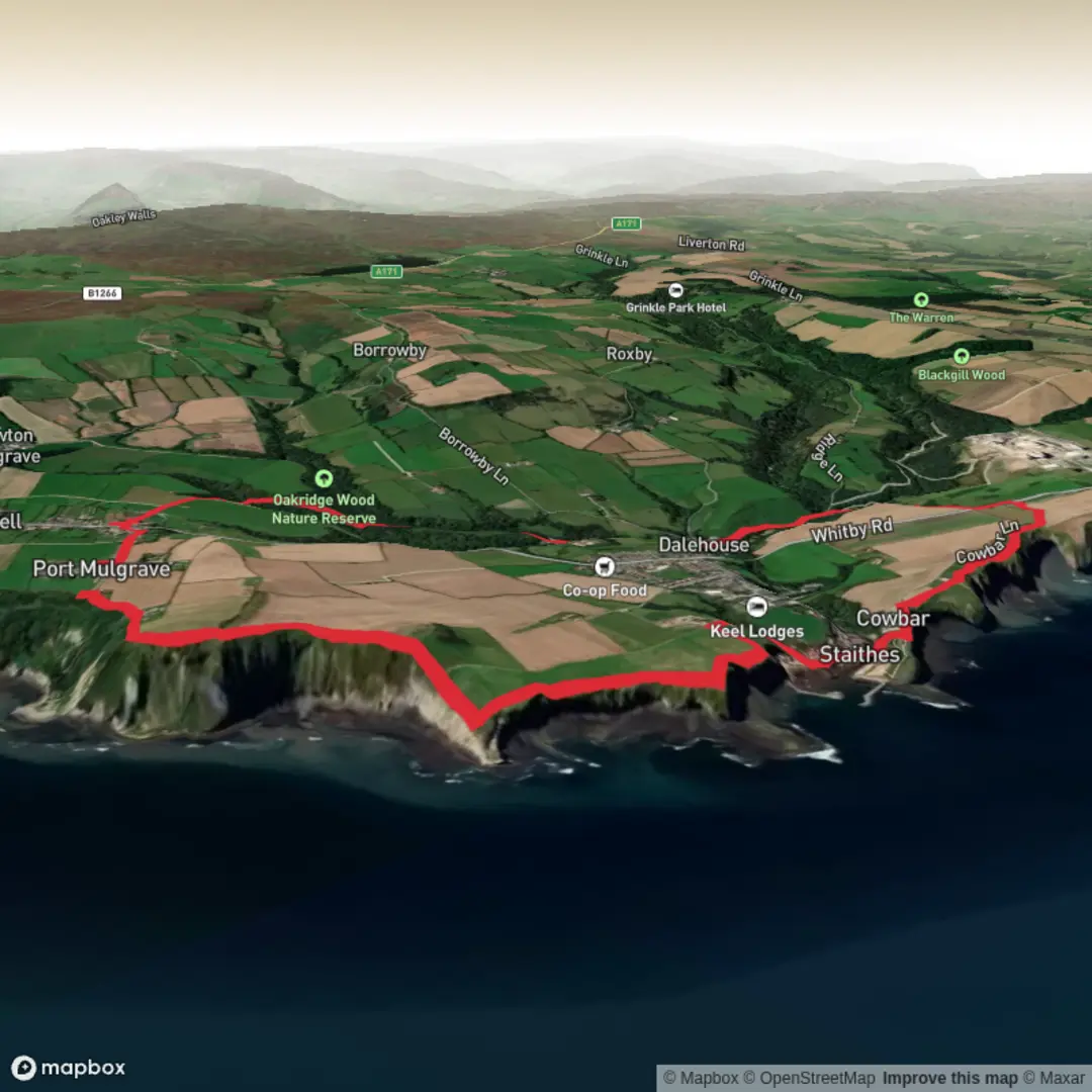 An image depicting the trail Local loop from Port Mulgrave to Staithes and Dalehouse and its surrounding area.