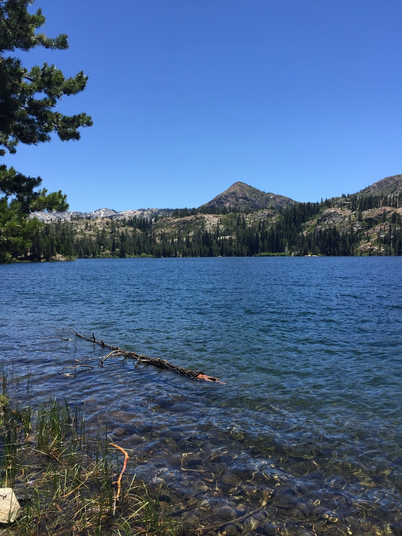 An image depicting the trail Penner Lake via Crooked Lake Trail and its surrounding area.