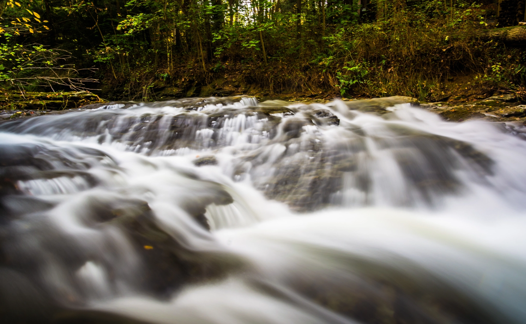 An image depicting the trail Cascades of Tucquan Glen and its surrounding area.