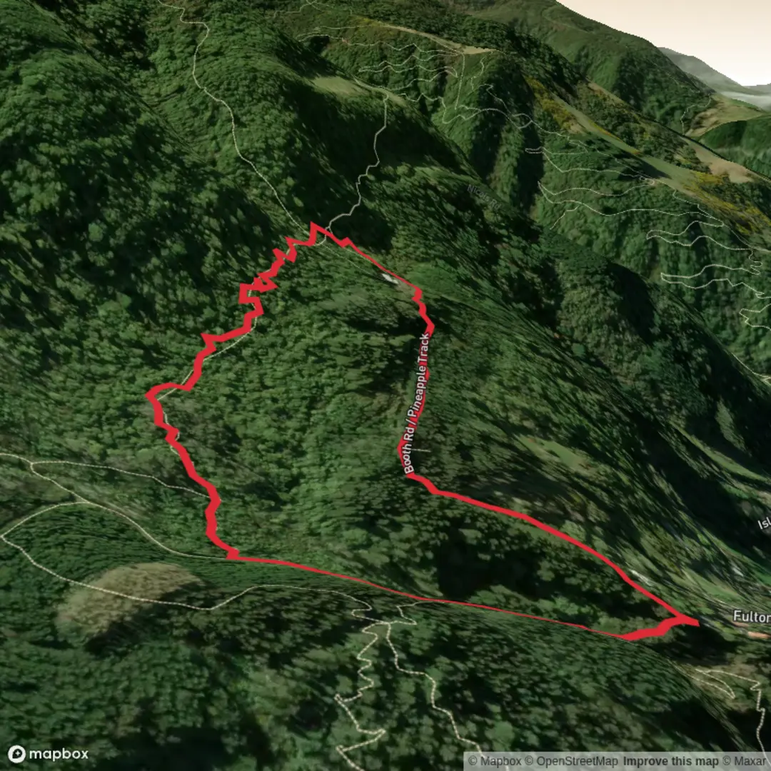 An image depicting the trail McGoun’s Creek and Lower Pineapple Loop and its surrounding area.