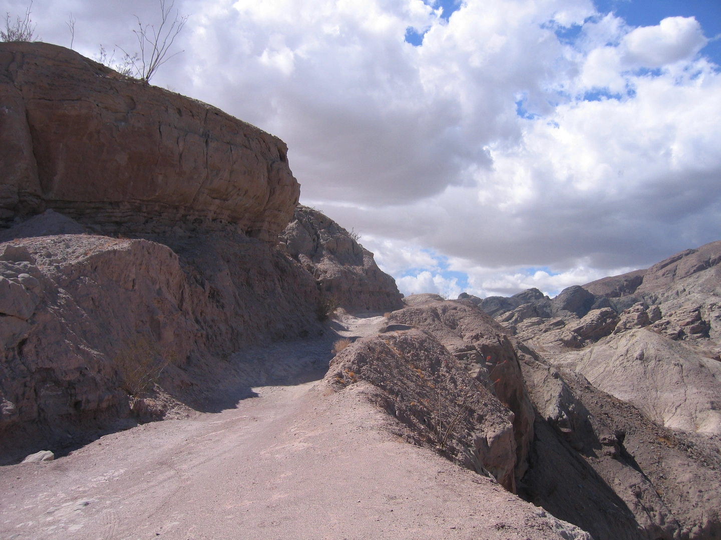 An image depicting the trail Calcite Mine Road, Calcite Mine Slot Canyon and North Palm Wash Loop and its surrounding area.