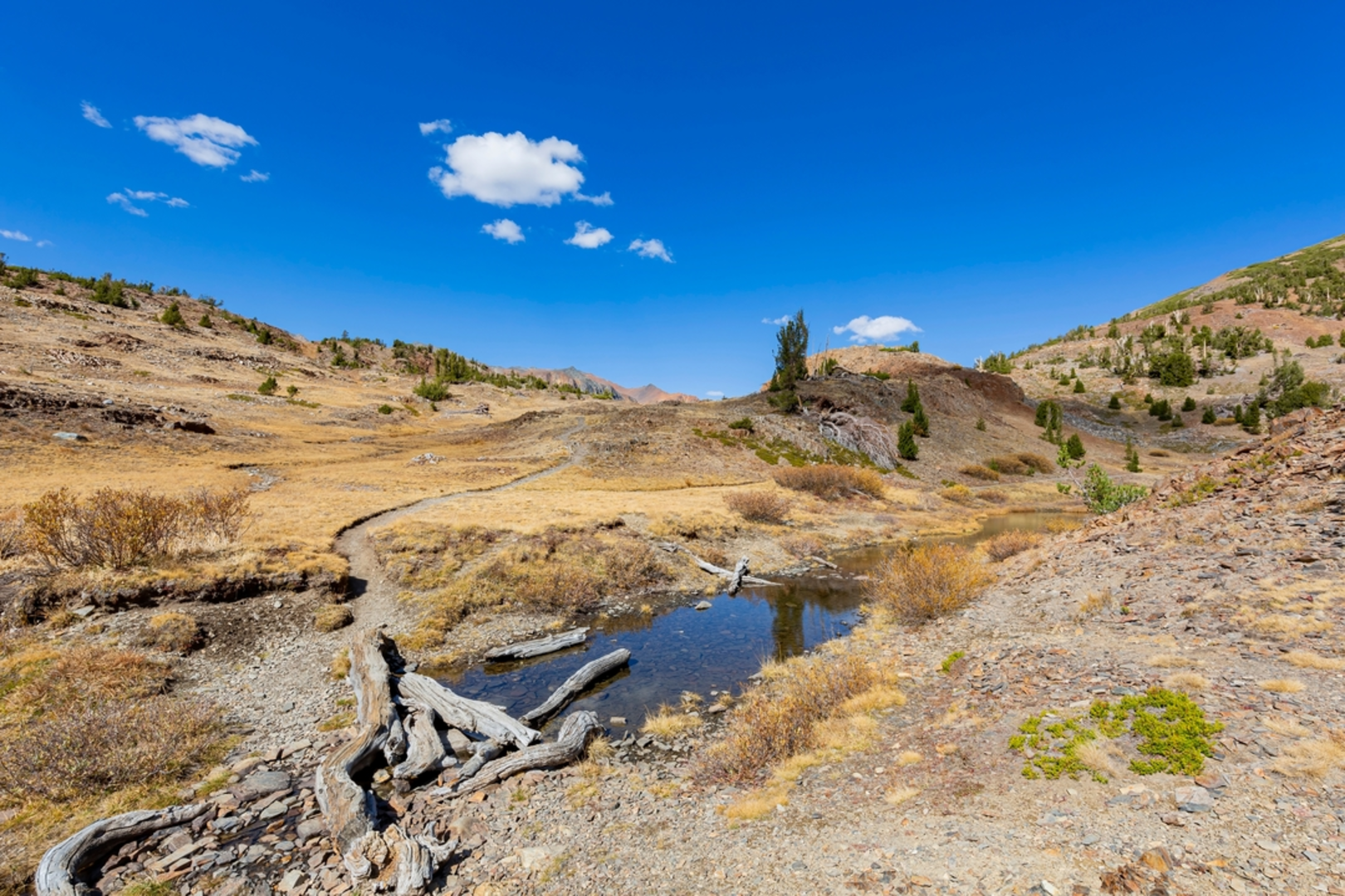 An image depicting the trail Hess Mine, Steelhead Lake and Greenstone Lake via Saddlebag Lake Trail and its surrounding area.